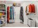 Large walk-in closet with ample shelving and hanging space for clothes and accessories at 31445 Amberlea Rd, Dade City, FL 33523