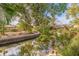 Tranquil view of the canal from the backyard, surrounded by lush greenery at 3282 Honeysuckle Rd, Largo, FL 33770