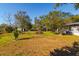 Large backyard with mature trees and grass at 5219 E 17Th Ave, Tampa, FL 33619