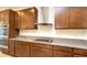 Spacious kitchen featuring stainless steel appliances and ample cabinetry at 7815 Bronze Oak Dr, Wesley Chapel, FL 33545