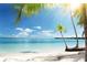 Tropical beach scene with palm trees and calm ocean at 1205 Chevy Chase Dr, Sun City Center, FL 33573