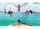 Three people jumping into the ocean from a dock at 1205 Chevy Chase Dr, Sun City Center, FL 33573