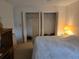 Spacious bedroom with large closet and neutral decor at 2280 Toniwood Ln, Palm Harbor, FL 34685
