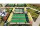 Aerial view of three bocce ball courts with shade structures at 31428 Briars Ml, San Antonio, FL 33576