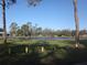 Tranquil community lake with mature trees and waterfront homes at 3201 Delaware W Ave, Plant City, FL 33563