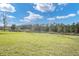Large backyard with lush green grass and mature trees at 4661 Southern Valley Loop, Brooksville, FL 34601