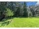 Large grassy backyard with a fenced perimeter and a young tree at 4661 Southern Valley Loop, Brooksville, FL 34601