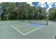 Well-maintained pickleball courts with trees in background at 4661 Southern Valley Loop, Brooksville, FL 34601