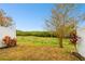 Private backyard with grassy area and white fence at 8126 Muddy Pines Pl, Tampa, FL 33635