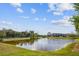 Peaceful lake view, lush green grass, and townhomes in background at 8126 Muddy Pines Pl, Tampa, FL 33635