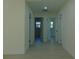 Clean hallway with light walls and wood flooring at 10322 N Oakleaf Ave, Tampa, FL 33612
