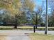 Quiet street with mature trees and park-like setting at 10322 N Oakleaf Ave, Tampa, FL 33612