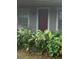Front entrance with dark-red door and lush tropical plants at 5824 58Th Street Ct, Tampa, FL 33619