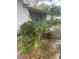 Overgrown side yard with various plants and dead leaves at 5824 58Th Street Ct, Tampa, FL 33619