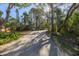 Long private driveway leading to the house through lush vegetation at 7172 Dr Martin Luther King Jr S St, St Petersburg, FL 33705