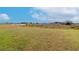 Open grassy backyard with preserve view at 11307 Linden Depot Rd, San Antonio, FL 33576