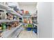 Well-organized pantry with ample shelving for storage at 12854 Boggy Creek Dr, Riverview, FL 33579