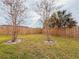 Backyard with a wooden fence and two small trees at 4013 Lexington Ct, Largo, FL 33771