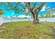 Large backyard with mature tree and white vinyl fence at 5718 Magnolia N St, St Petersburg, FL 33703