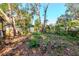 Spacious backyard with mature trees and shed at 6005 N 9Th St, Tampa, FL 33604