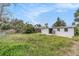 Overgrown backyard with a partially visible house at 6702 Sandra Dr, Port Richey, FL 34668