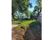 Overgrown backyard with waterfront access at 1632 28Th S Ave, St Petersburg, FL 33712