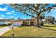 Single-story house with solar panels, large tree, and well-maintained lawn at 1702 Horseshoe Dr, Plant City, FL 33566