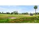 View of a golf course with a golf cart and palm trees at 3939 Venetian Way, Tampa, FL 33634