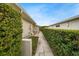 Well-manicured walkway between hedges leads to the home's back at 3939 Venetian Way, Tampa, FL 33634
