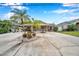Single story home with stone exterior, palm trees, and a large driveway at 8 Citrus Dr, Palm Harbor, FL 34684