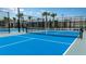 Modern pickleball courts with blue surface and modern fencing at 9650 Minnow Ray Dr, Land O Lakes, FL 34638