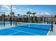 Enjoy community pickleball courts with modern fencing at 9650 Minnow Ray Dr, Land O Lakes, FL 34638