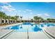 Resort-style pool with clear water and palm trees at 9650 Minnow Ray Dr, Land O Lakes, FL 34638