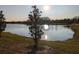 Peaceful lake view with lush landscaping at 3005 Suncoast Blend Dr, Odessa, FL 33556