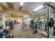 Fitness center with weight machines and free weights at 36750 Us Highway 19 # 21-301, Palm Harbor, FL 34684