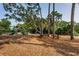 playground with swings, slides, and benches at 36750 Us Highway 19 # 21-301, Palm Harbor, FL 34684