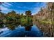 Serene pond with lush greenery and reflections at 36750 Us Highway 19 # 21-301, Palm Harbor, FL 34684