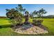 Bronze snake sculpture on tree stump in landscaped area at 36750 Us Highway 19 # 21-301, Palm Harbor, FL 34684