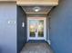 Modern double front doors with glass accents at 4039 Eastridge Dr, Valrico, FL 33596