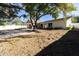 Spacious backyard with large shade tree and patio area at 10215 Evening Trail Dr, Riverview, FL 33569