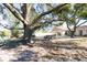 Spacious backyard with patio, picnic tables under a large oak tree at 10215 Evening Trail Dr, Riverview, FL 33569