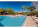 Inviting community swimming pool with surrounding lounge chairs at 11901 4Th N St # 9105, St Petersburg, FL 33716