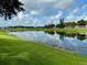 Beautiful backyard view of pond and green space at 1213 Huntington Greens Dr, Sun City Center, FL 33573