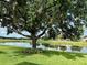 Serene backyard oasis with pond view, lush grass, and a majestic oak tree at 1213 Huntington Greens Dr, Sun City Center, FL 33573