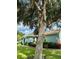 Side view of house with landscaping and a large tree at 1213 Huntington Greens Dr, Sun City Center, FL 33573