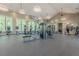 Spacious fitness center featuring modern exercise equipment and large windows at 18015 Fenders Way, Land O Lakes, FL 34638