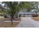 House exterior showcasing a gray home with large tree and driveway at 1566 Long St, Clearwater, FL 33755