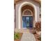 Elegant front entrance with a blue door and arched entryway at 1811 Stonebrook Ln, Safety Harbor, FL 34695