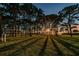 Sunset view over grassy park with tall trees at 2700 Bayshore Blvd # 6308, Dunedin, FL 34698