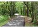 Paved pathway winding through lush trees at 2913 Aston Ave, Plant City, FL 33566